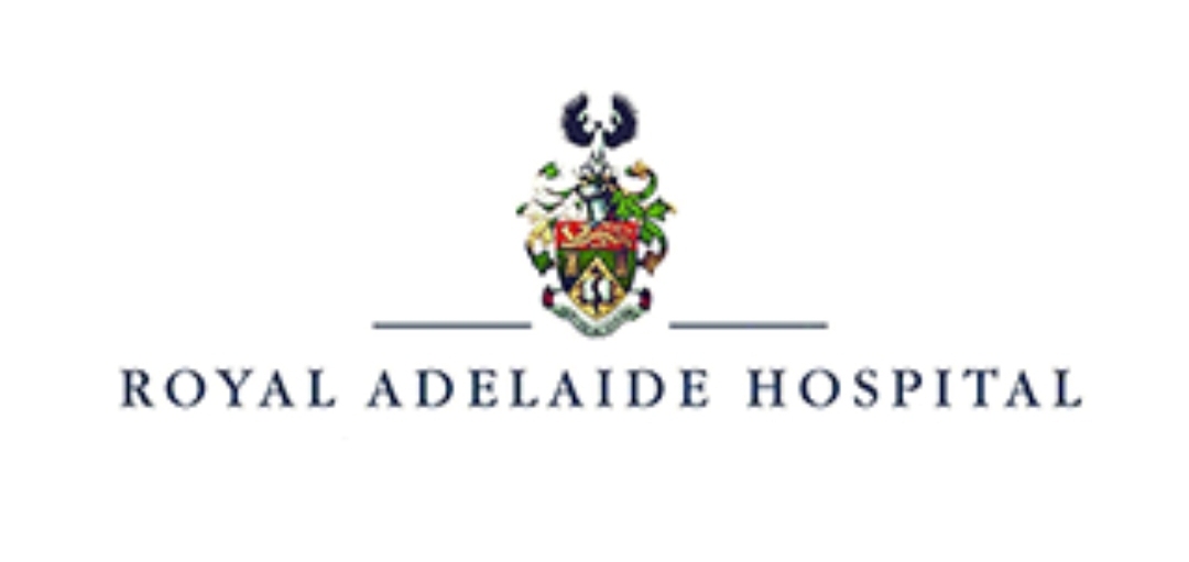 Online professional resume writing services adelaide